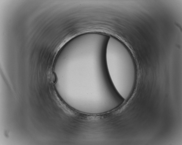 X0000100371521200806060749