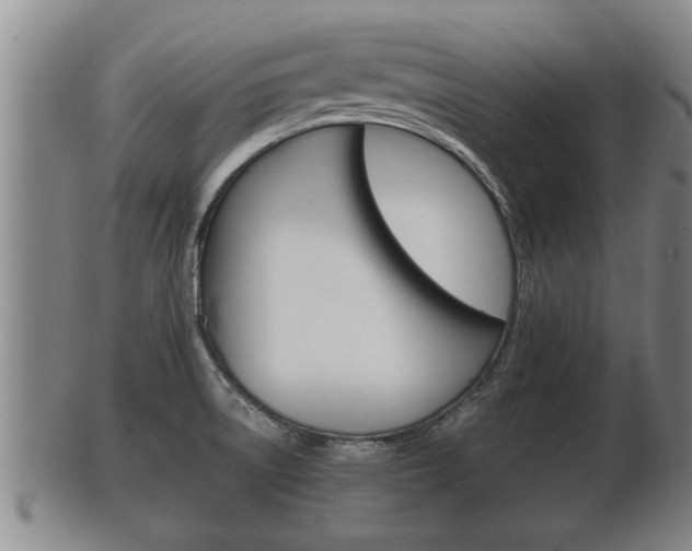 X0000100371522200806060749