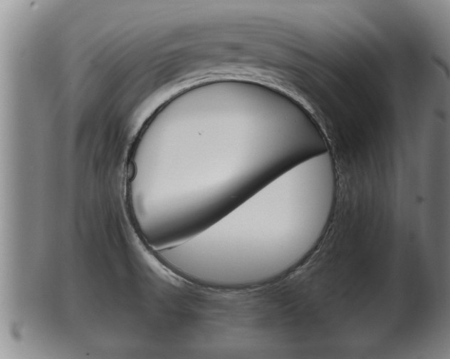 X0000100371523200806060749
