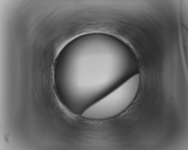 X0000100371524200806060749