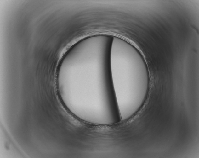 X0000100371525200806060749