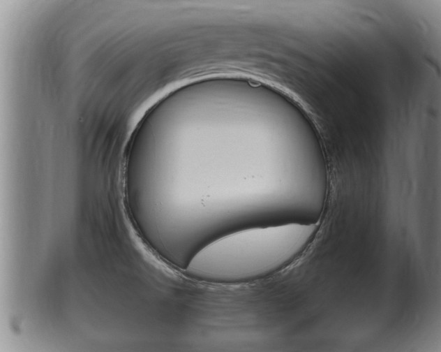X0000100371526200806060749