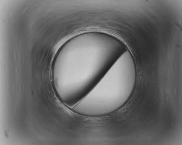 X0000100371527200806060749