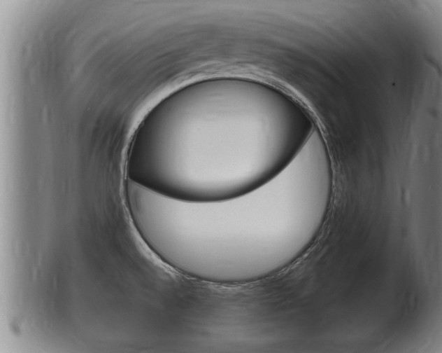 X0000100371528200806060749