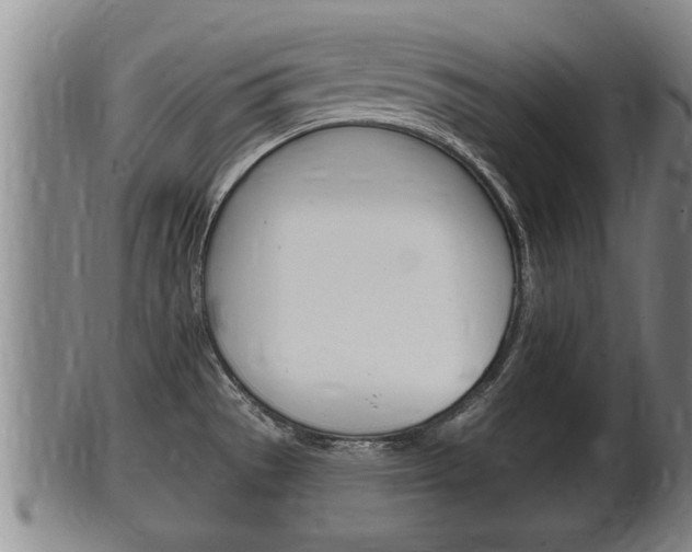 X0000100371529200806060749