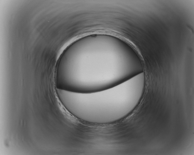 X0000100371530200806060749