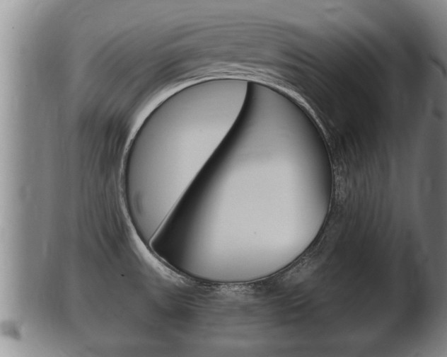 X0000100371531200806060749