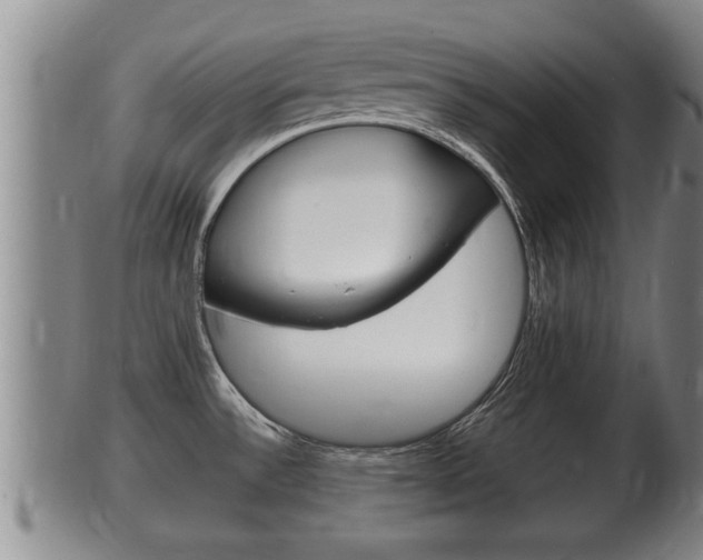 X0000100371532200806060749