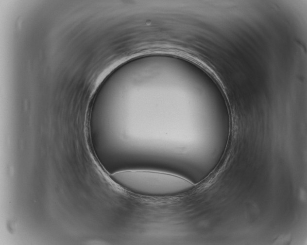 X0000100371533200806060749
