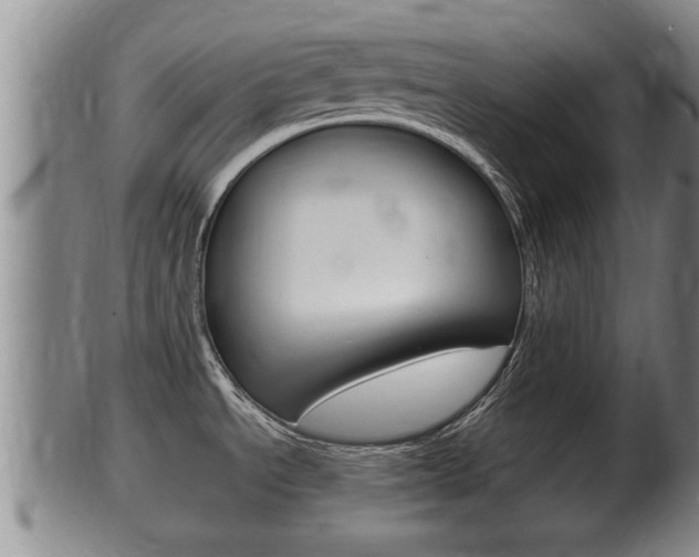 X0000100371534200806060750
