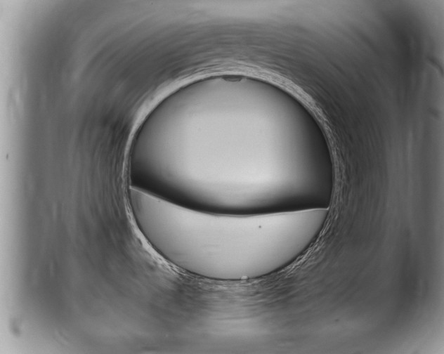 X0000100371536200806060750