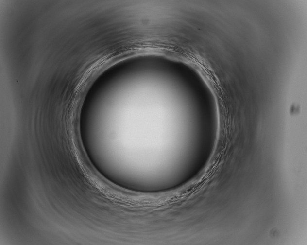 X0000100370001200806061206