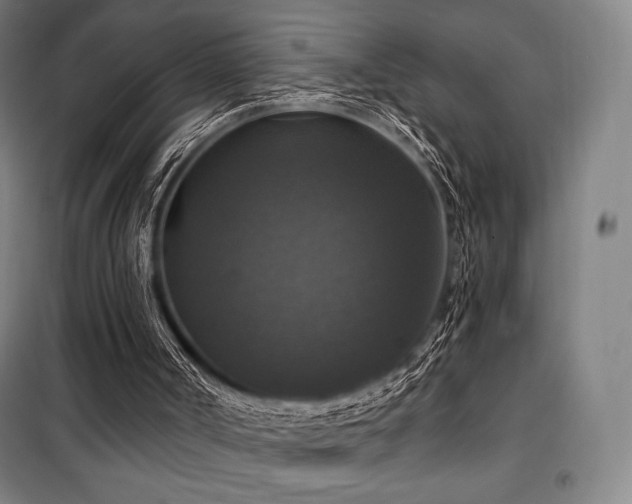 X0000100370002200806061206