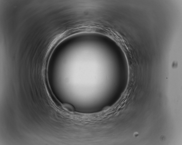 X0000100370003200806061206