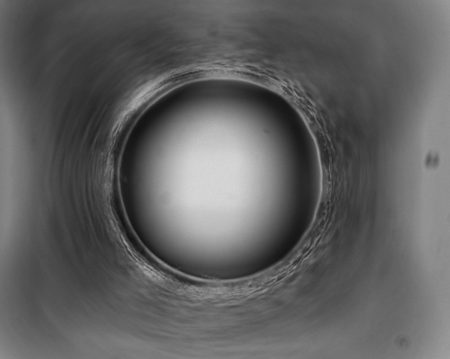 X0000100370005200806061206