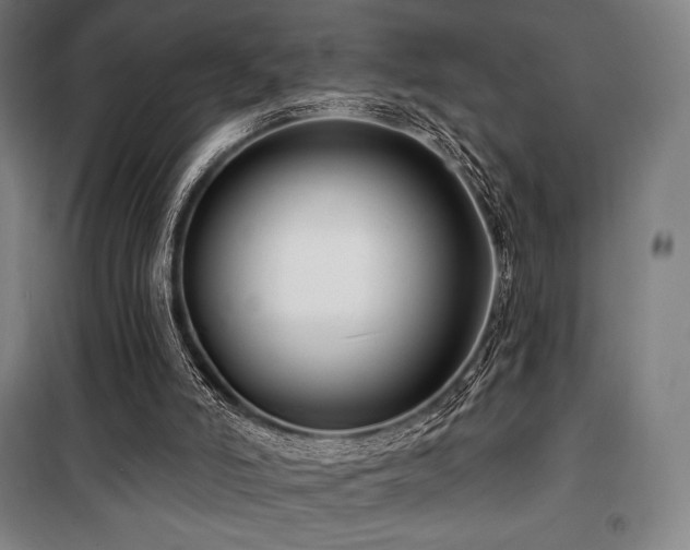 X0000100370006200806061206