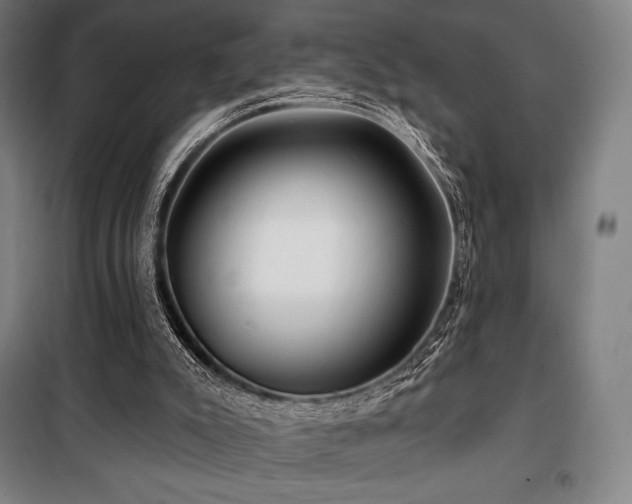 X0000100370007200806061206