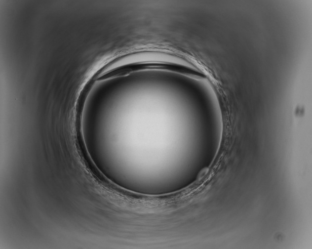 X0000100370008200806061206