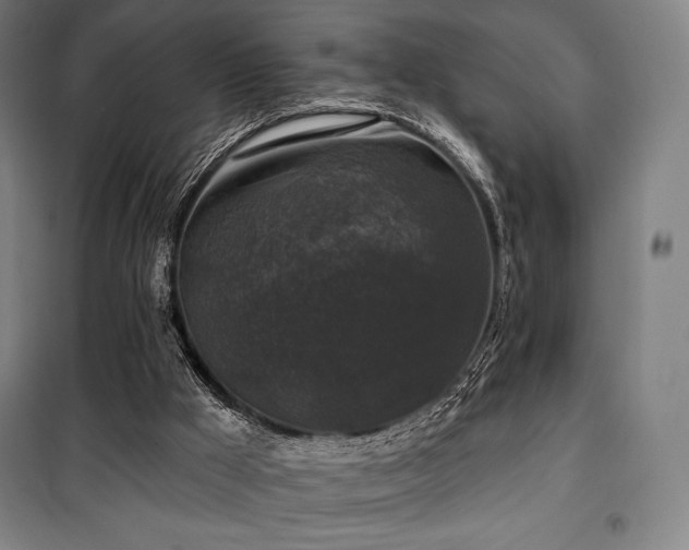 X0000100370009200806061206