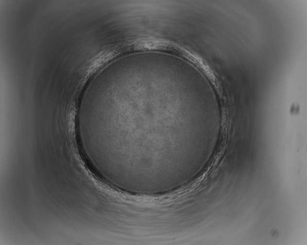 X0000100370010200806061206