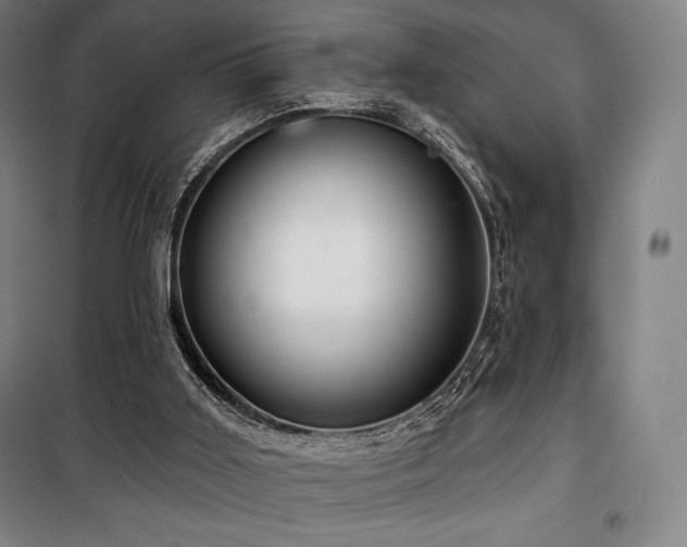 X0000100370011200806061206