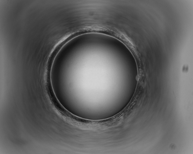 X0000100370012200806061206