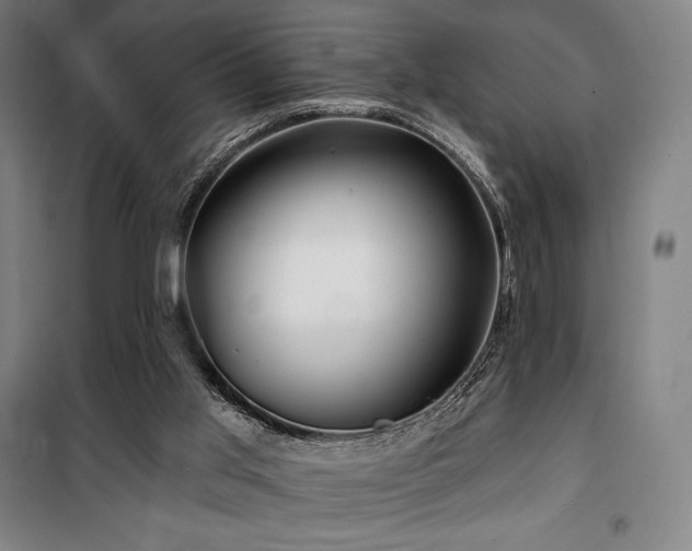 X0000100370013200806061206