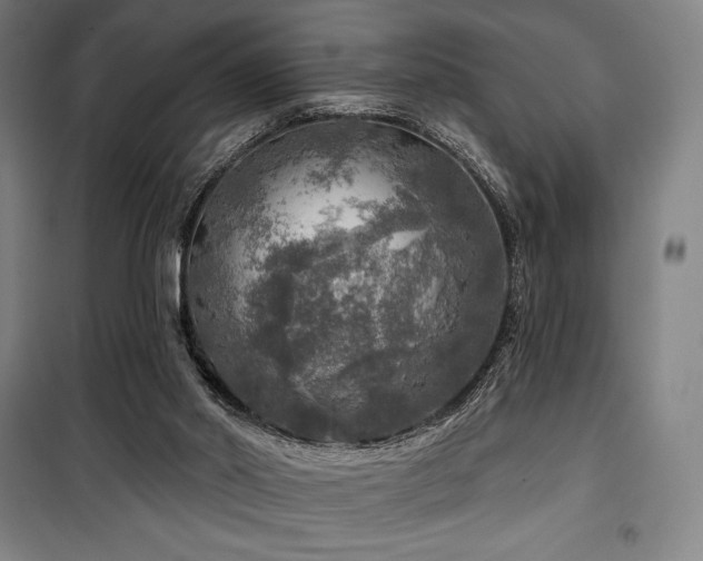 X0000100370014200806061206