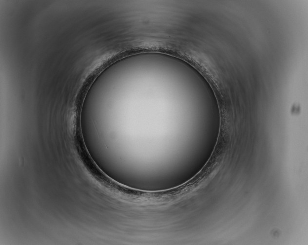 X0000100370016200806061206