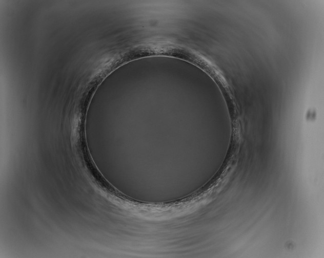 X0000100370018200806061206