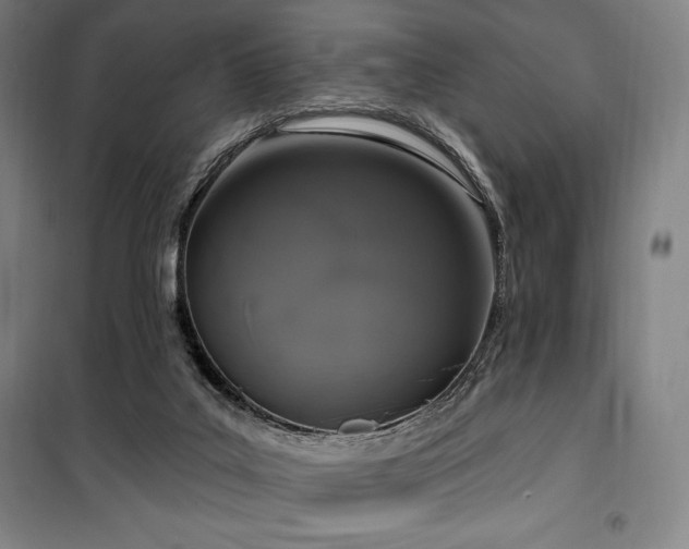 X0000100370019200806061206