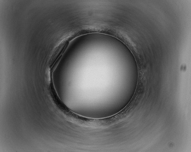 X0000100370020200806061206