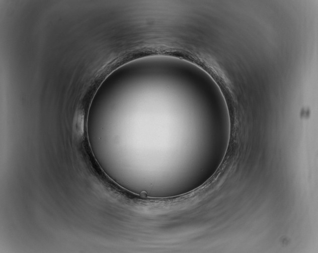 X0000100370021200806061206