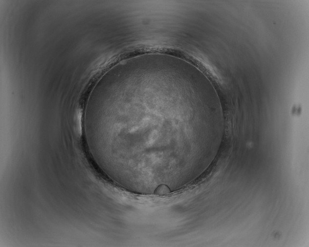 X0000100370022200806061206