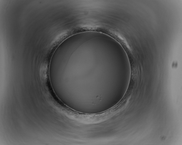 X0000100370023200806061206