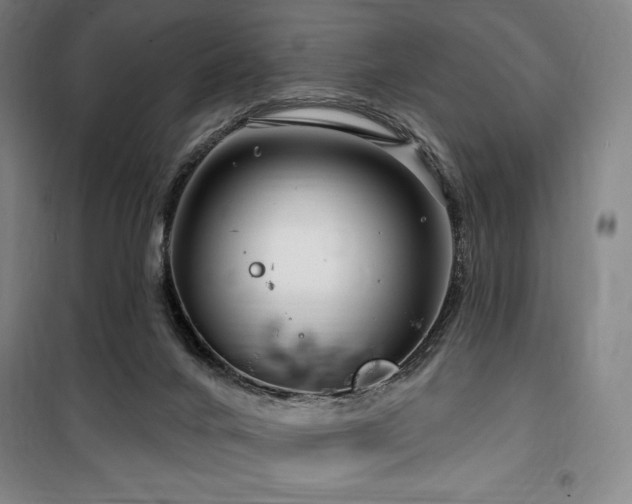 X0000100370024200806061206