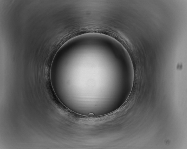 X0000100370025200806061206