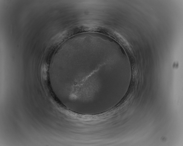 X0000100370026200806061206