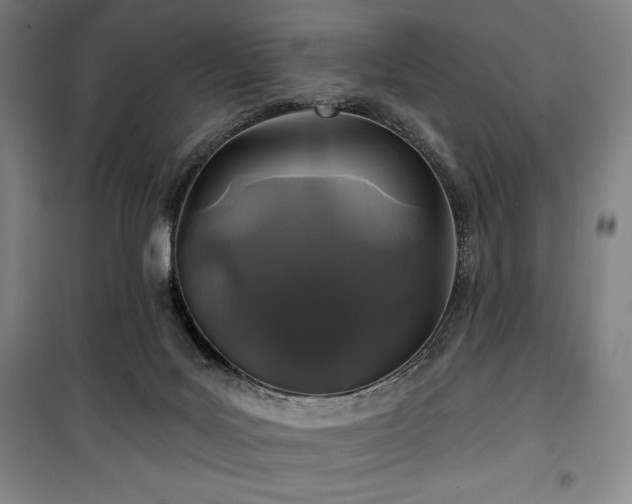 X0000100370027200806061206