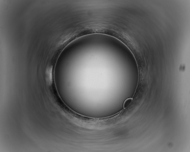 X0000100370028200806061206