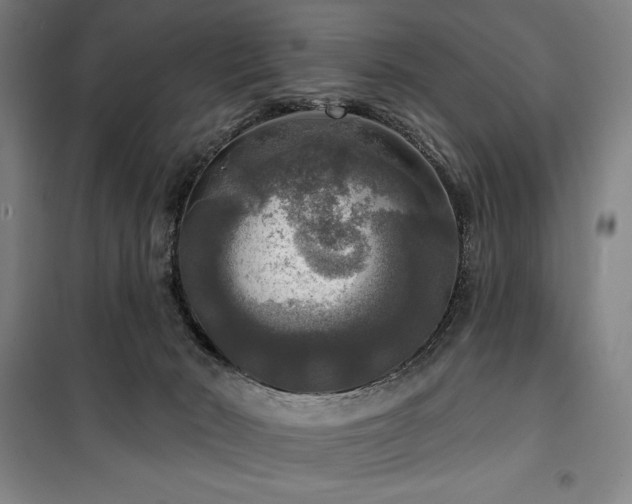 X0000100370030200806061205