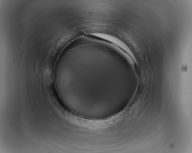 X0000100370031200806061205