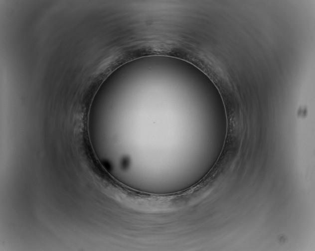 X0000100370032200806061205