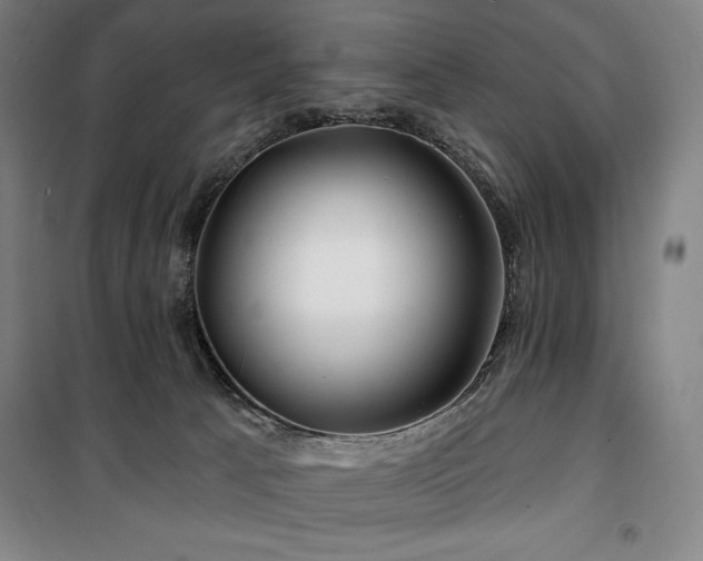 X0000100370033200806061205