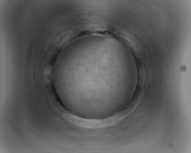 X0000100370034200806061205