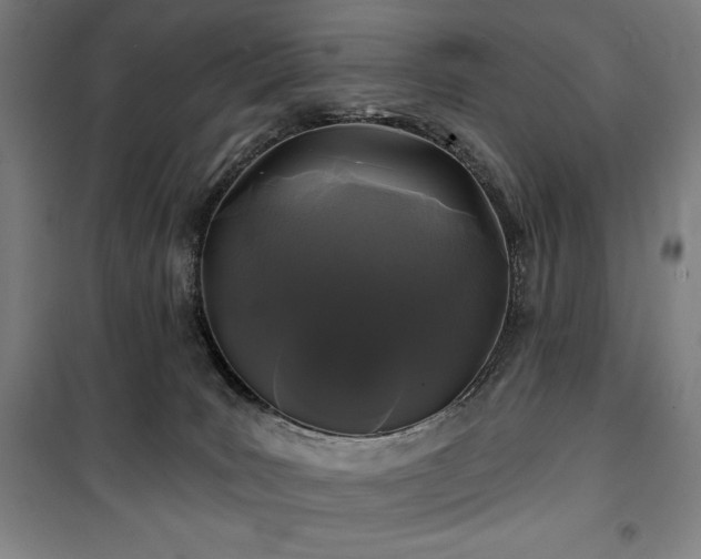 X0000100370035200806061205