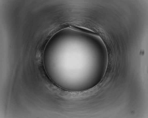 X0000100370037200806061205