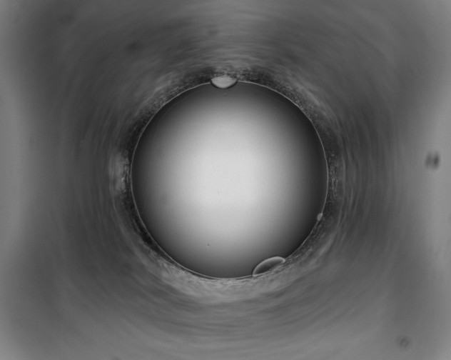 X0000100370038200806061205