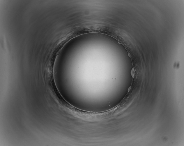 X0000100370040200806061205