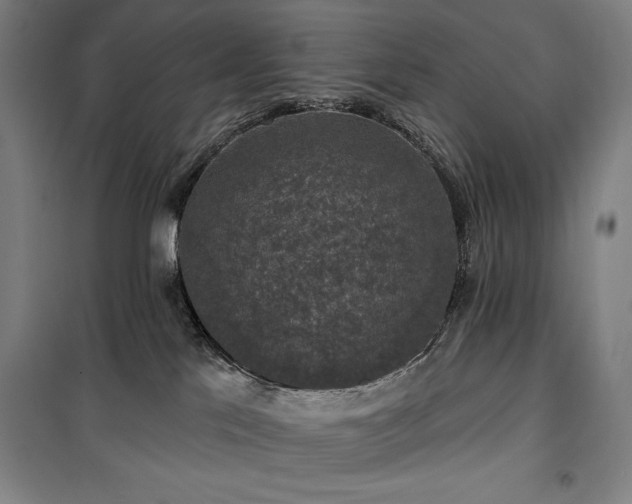 X0000100370041200806061205